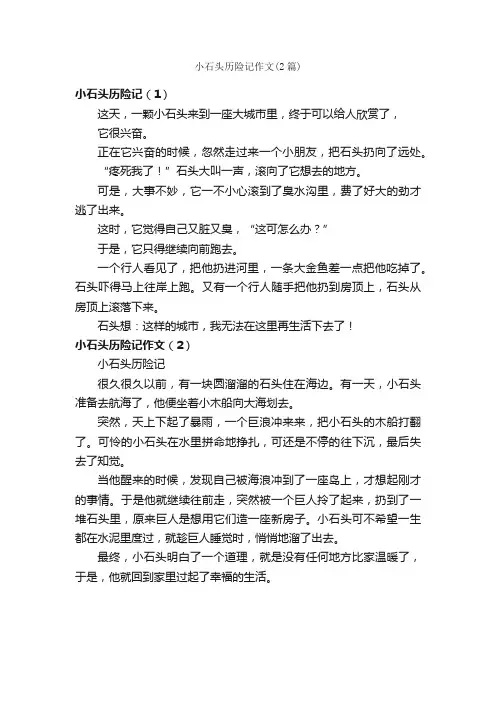 小石头历险记作文（2篇）_小学三年级作文_