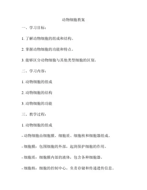 动物细胞教案
