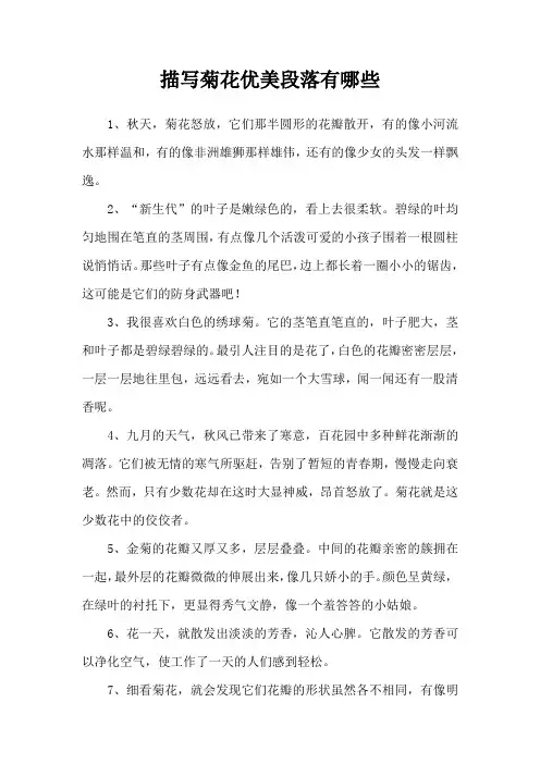 描写菊花优美段落有哪些