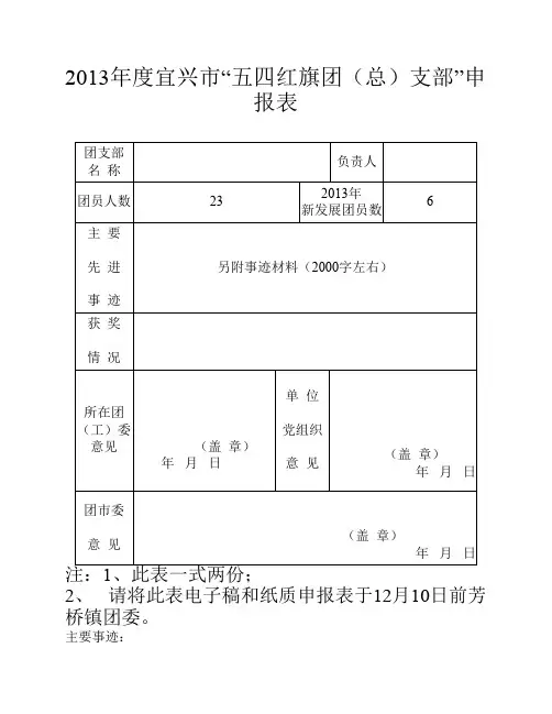 五四红旗团支部申报表