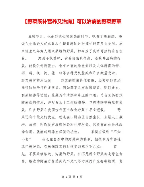 【野菜既补营养又治病】可以治病的野菜野草