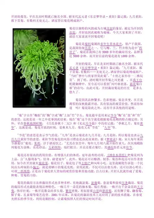 开封的菊花