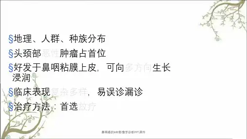 鼻咽癌的MRI影像学诊断PPT课件