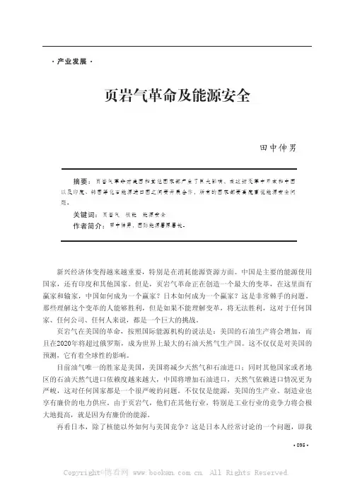 页岩气革命及能源安全    