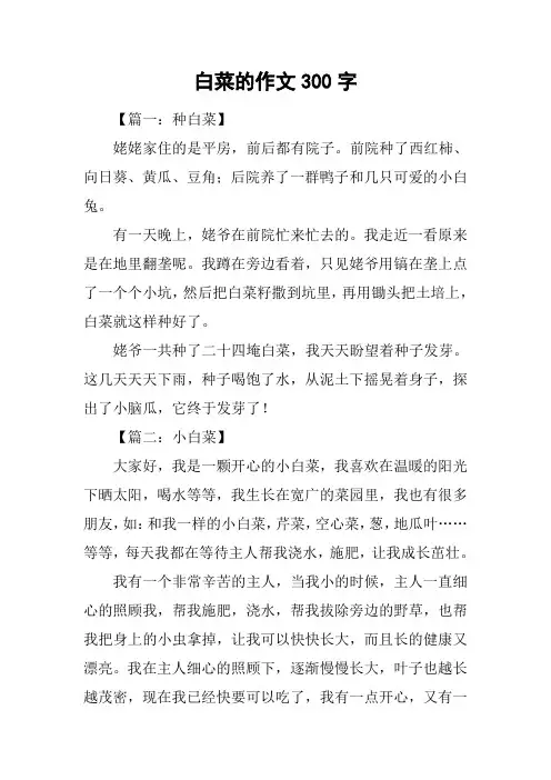 白菜的作文300字