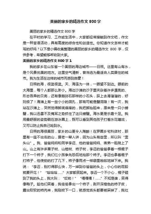 美丽的家乡的精选作文800字
