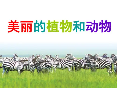 人教新课标一年级上册美术美丽的植物和动物课件