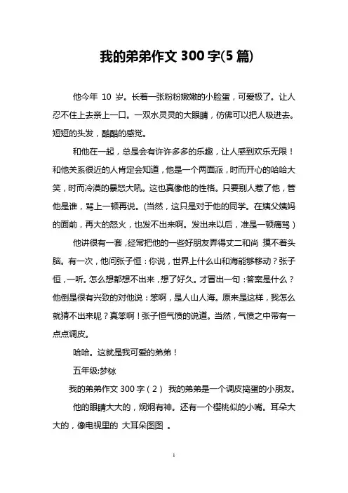 我的弟弟作文300字(5篇)