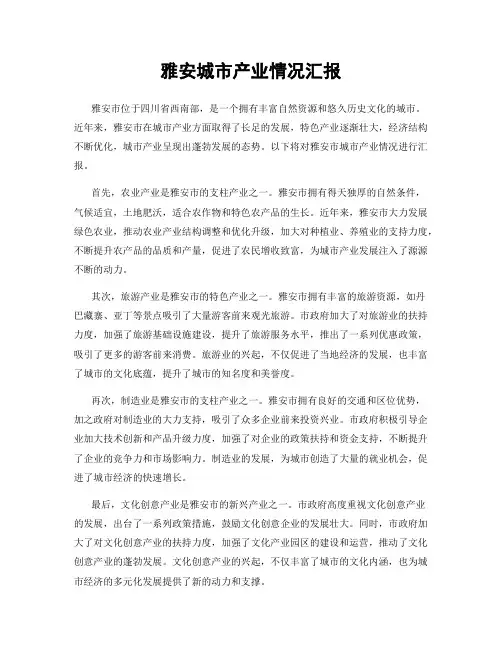 雅安城市产业情况汇报
