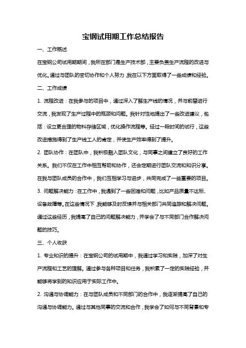 宝钢试用期工作总结报告