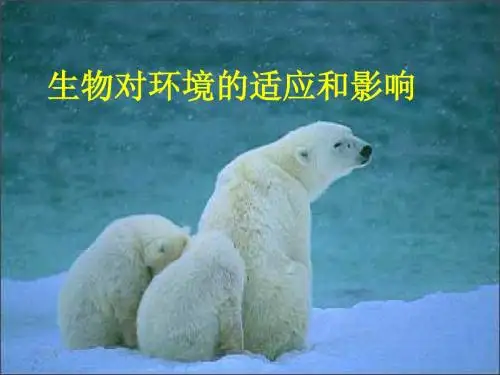 生物对环境适应和影响