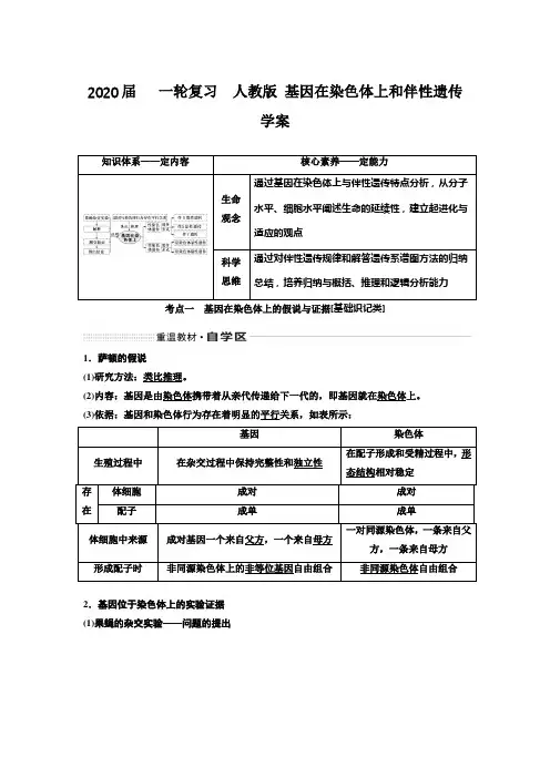 2020年高考   一轮复习  人教版 基因在染色体上和伴性遗传 学案.doc