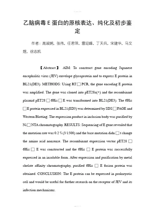 乙脑病毒E蛋白的原核表达、纯化及初步鉴定