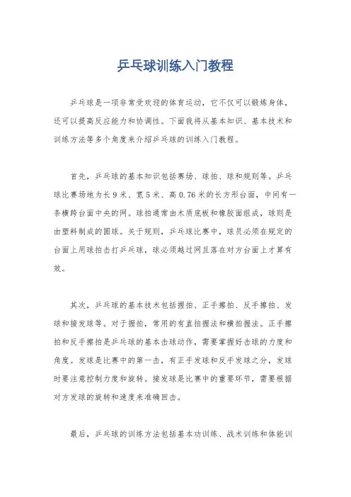 乒乓球训练入门教程