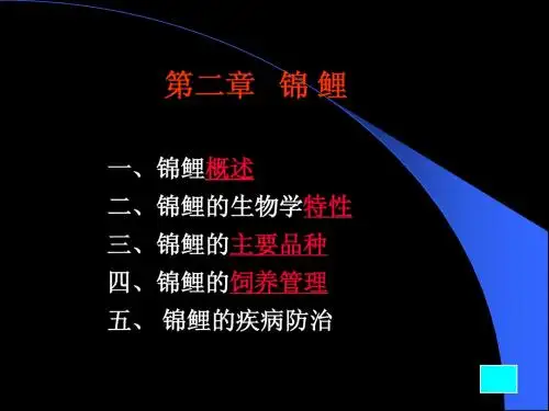 锦鲤 热带鱼