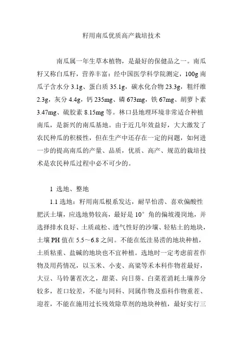 籽用南瓜优质高产栽培技术