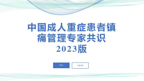 中国成人重症患者镇痛管理专家共识2023版