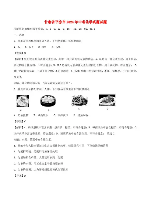 甘肃省平凉市2024年中考化学真题试题Word版含解析