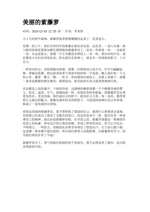 美丽的紫藤萝