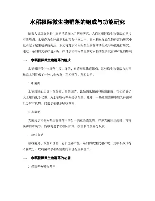 水稻根际微生物群落的组成与功能研究