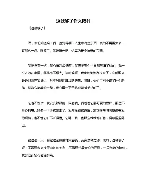 这就够了作文陪伴