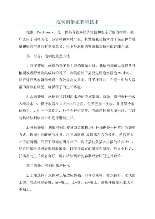 泡桐的繁殖栽培技术