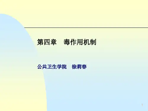 毒理学 第四章机制