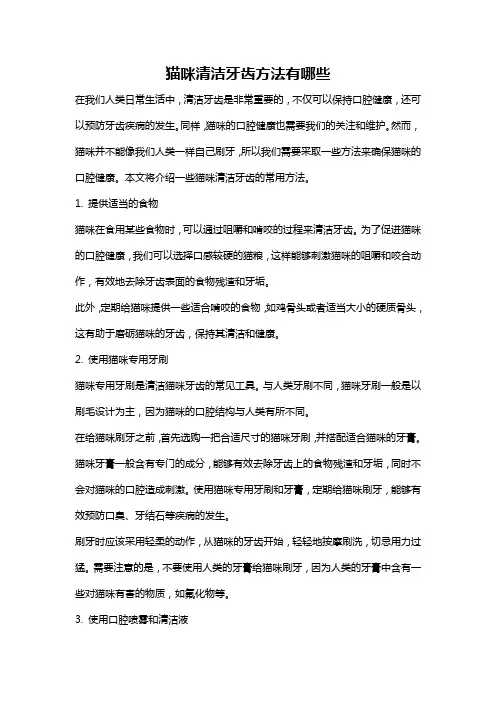 猫咪清洁牙齿方法有哪些