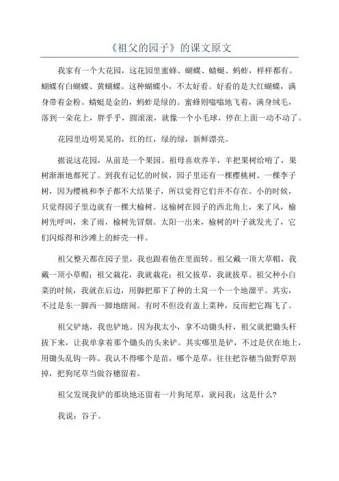 《祖父的园子》的课文原文