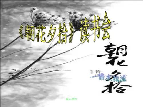 朝花夕拾读书交流会ppt学习版.ppt