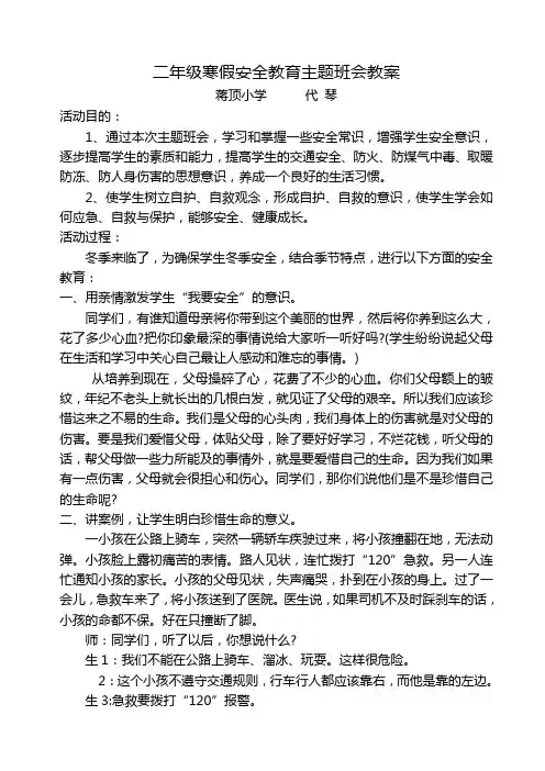 蒋顶小学2017年寒假二年级寒假安全教育主题班会教案