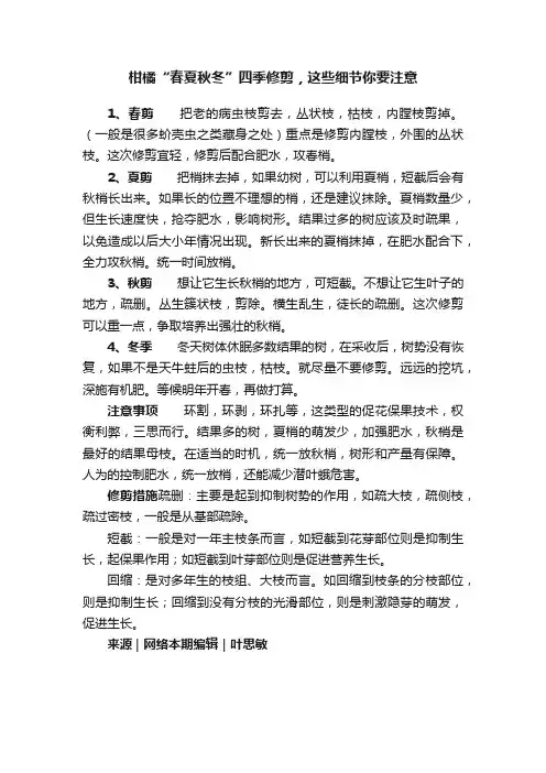 柑橘“春夏秋冬”四季修剪，这些细节你要注意