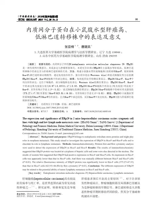 内质网分子蛋白在小鼠腹水型肝癌高、低淋巴道转移株中的表达及意义