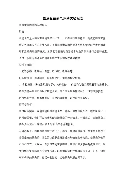 血清蛋白的电泳的实验报告