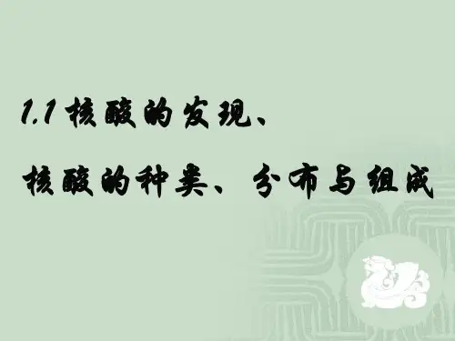 核苷酸发现、种类分布与组成