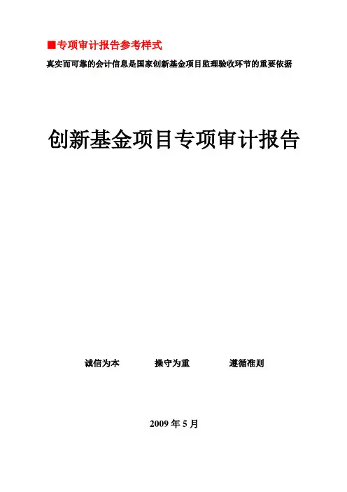 验收专项审计报告样式