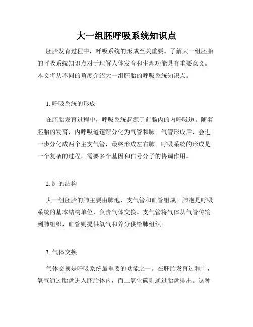 大一组胚呼吸系统知识点