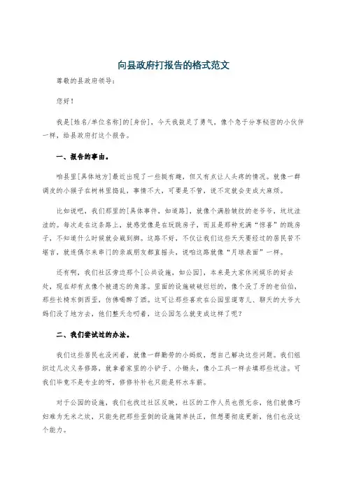 向县政府打报告的格式范文