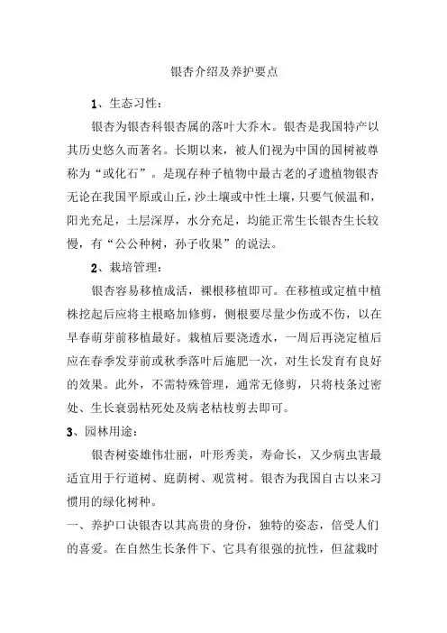 银杏介绍及养护要点
