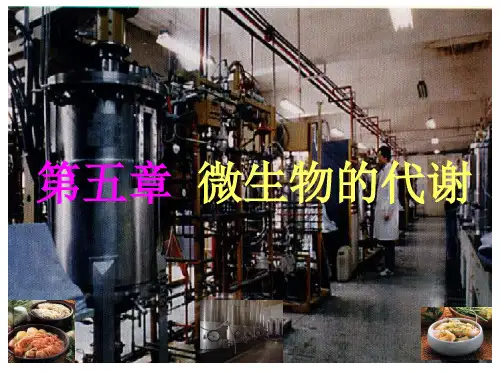 05、微生物代谢