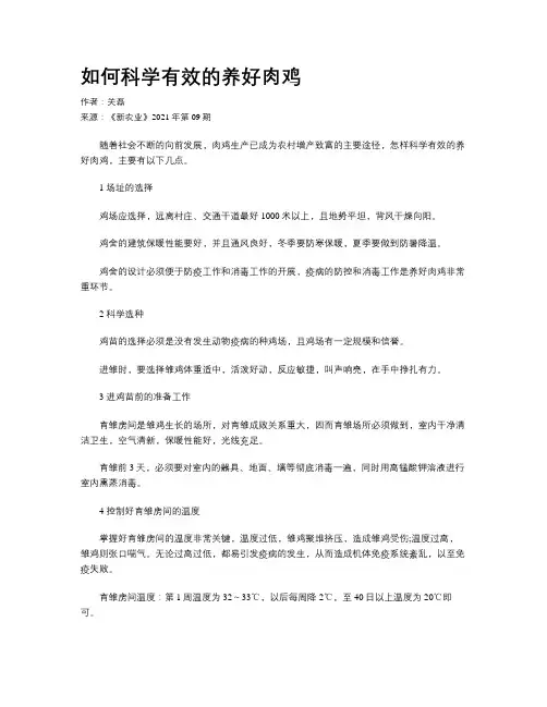 如何科学有效的养好肉鸡