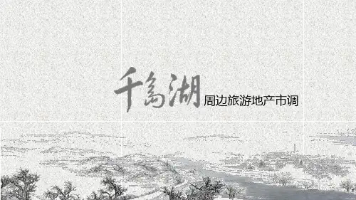 4.经典项目包装展示案例
