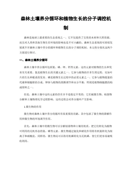 森林土壤养分循环和植物生长的分子调控机制