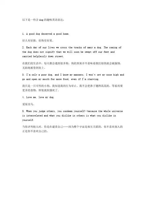 含dog的趣味英语表达