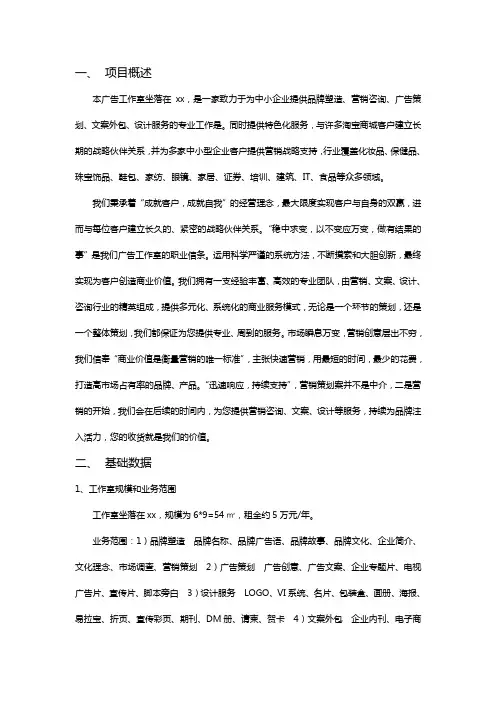广告公司可行性研究策划报告