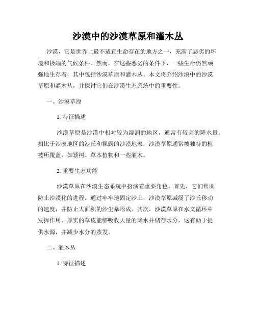 沙漠中的沙漠草原和灌木丛
