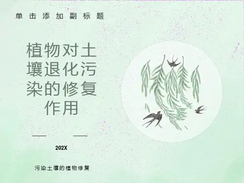 污染土壤的植物修复技术介绍
