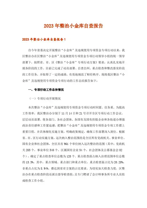 2023年整治小金库自查报告