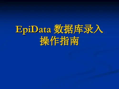 EPIdata录入操作指南