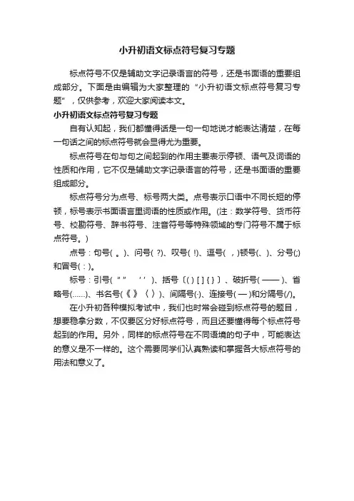 小升初语文标点符号复习专题